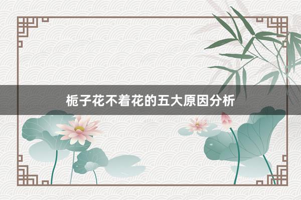 栀子花不着花的五大原因分析