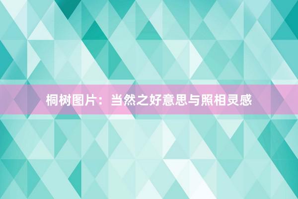 桐树图片：当然之好意思与照相灵感